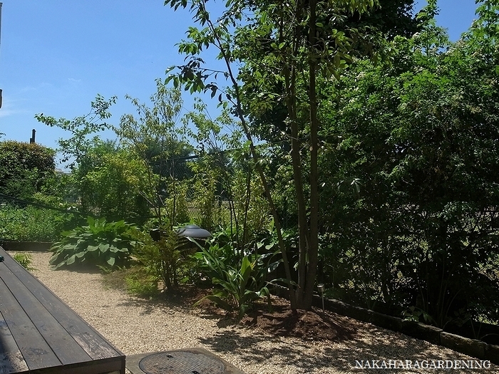 ＞【庭づくりの施工例】 - 杉並区・武蔵...