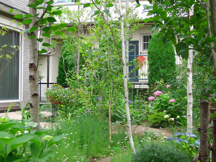 ＞【庭づくりの施工例】 - 杉並区・武蔵...