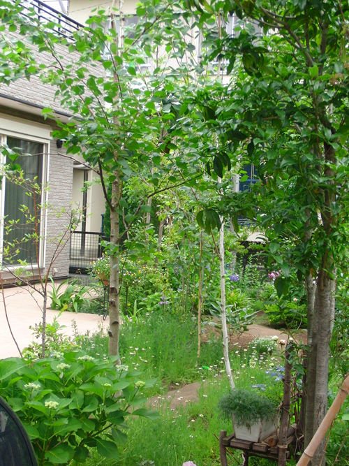 ＞【庭づくりの施工例】 - 杉並区・武蔵...