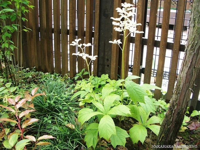 ＞【庭づくりの施工例】 - 杉並区・武蔵...