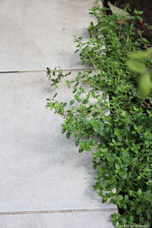 ＞【庭づくりの施工例】 - 杉並区・武蔵...