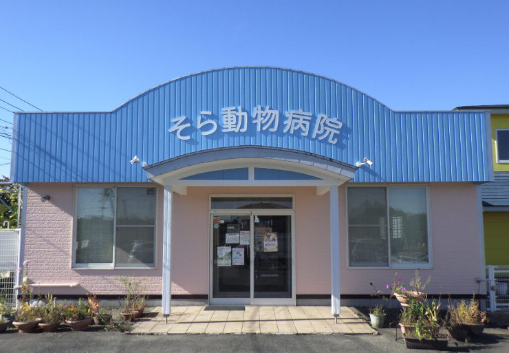 そら動物病院様 塗装改修工事（金ヶ崎町）...