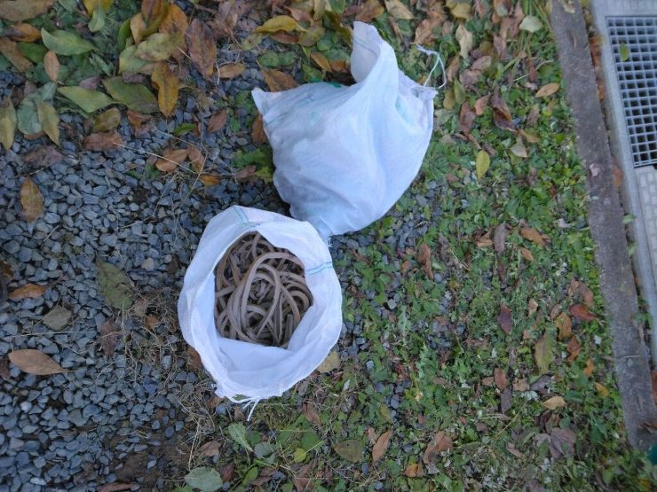 【奥州市】外壁塗装の仕上がりに満足！カラーシミュレーションで納得のいく色選びができました！