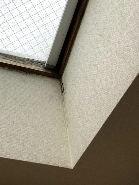 【北上市】天窓からの雨漏りで雨漏り110番に相談しました。外装メンテナンスを提案いただき、足場の有効活用ができました。