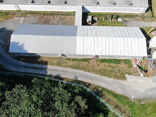 【九戸】豚舎内の温度管理に苦労していまし...