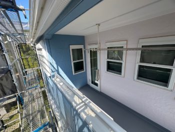家の周りに緑が多くて汚れが気になるから外...