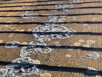 株式会社こうちゃんペイント外壁塗装・屋根...