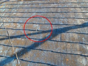 株式会社こうちゃんペイント外壁塗装・屋根...