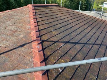 雨漏りが気になり「こうちゃんペイント」に...