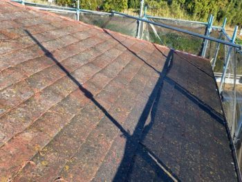 雨漏りが気になり「こうちゃんペイント」に...