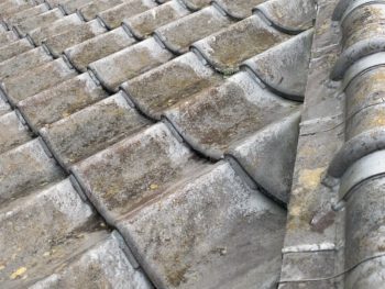 前回の塗装から14年【二度目の塗装もこう...