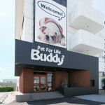 Buddy2 BOBTAIL | 岐阜県...