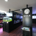 Buddy2 BOBTAIL | 岐阜県...