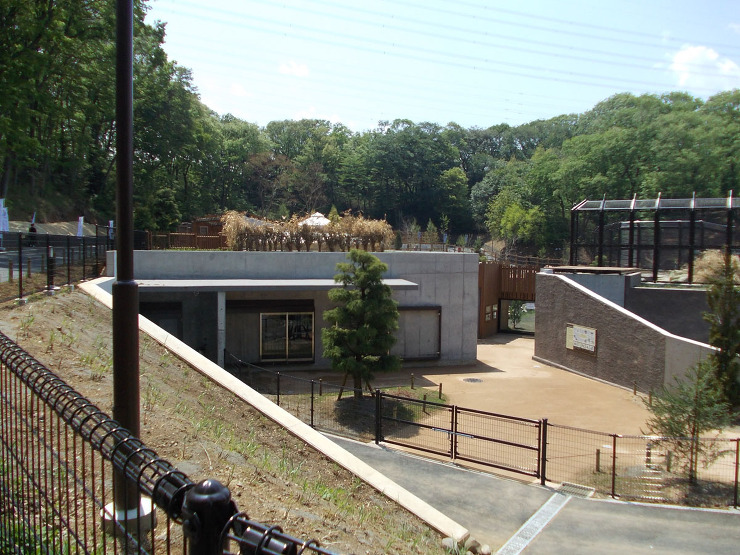 多摩動物公園　アジアの平原 | 高橋上田...