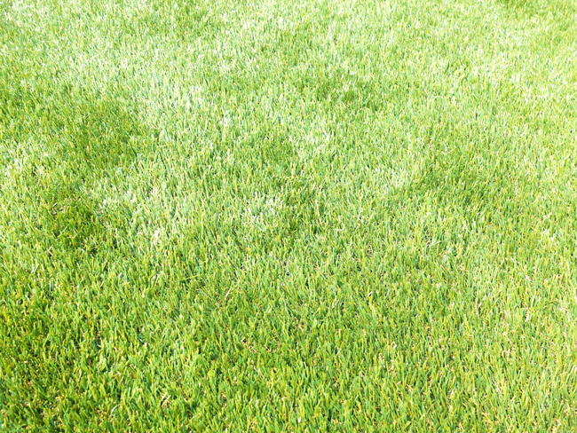 20200507_k03