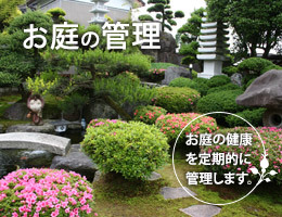 お庭の管理