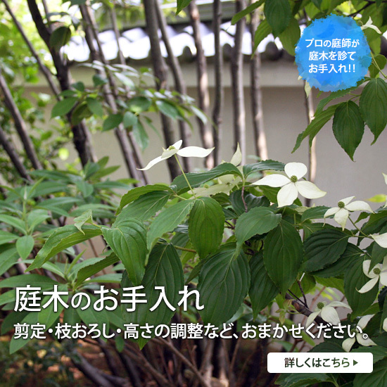 庭木のお手入れ