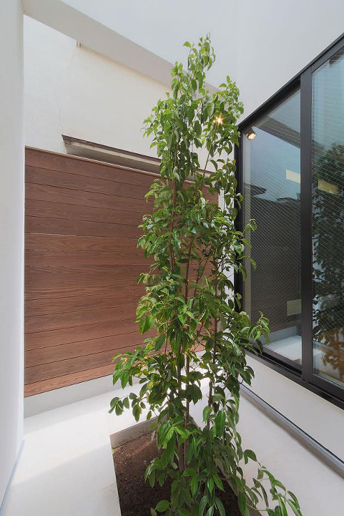 リビングとキッチンに面した明るい坪庭、樹木が植わり目隠しの木板塀が目を楽しませプライバシーを保つ