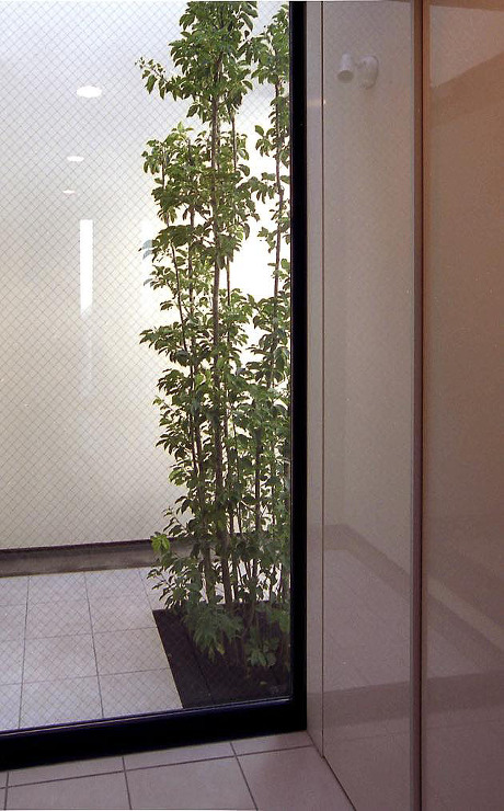 モダンデザインの住宅,北側の諸室にも陽光を届けるために計画された坪庭,ライトコート,常緑樹ソヨゴ,株立