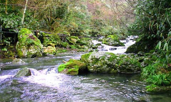 BLOG | FUKADA ARCHIT...