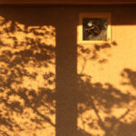 耐震診断依頼からの参加型リフォーム計画 ...