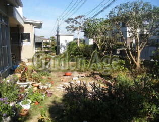 長崎の植木屋　株式会社ガーデンエイジ　剪...