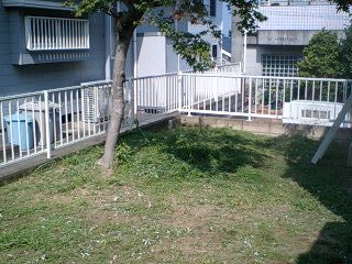 長崎の植木屋　株式会社ガーデンエイジ　剪...