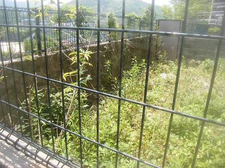 長崎の植木屋　株式会社ガーデンエイジ　剪...