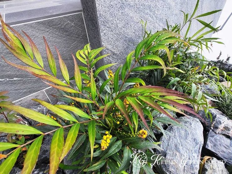 自然石調のタイルの門柱がポイントのシンプルモダン外構　近江八幡市