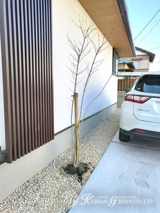 シンプルモダンを追求した平屋建ての外構　栗東市