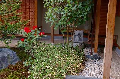 石楠花(シャクナゲ)と銀閣寺鉢