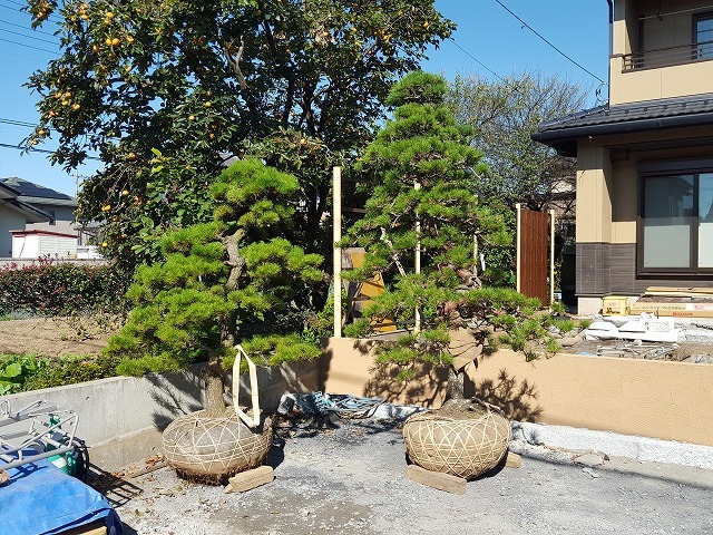 太田市M様邸｜造園｜外構工事｜本鞍馬の庭