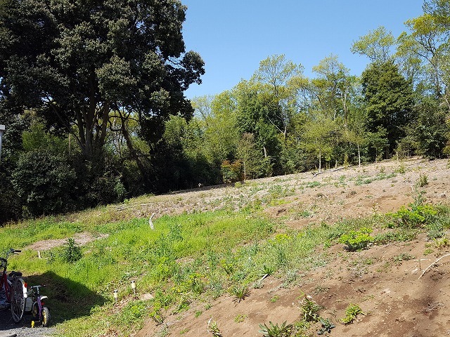 足利市S様邸｜広大な芝庭と巨石の造園施工...