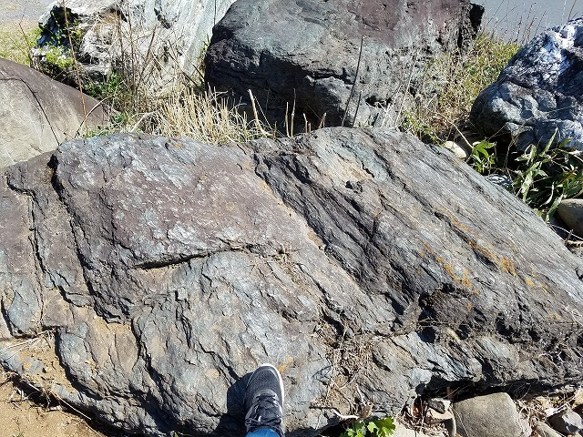 足利市S様邸｜広大な芝庭と巨石の造園施工...