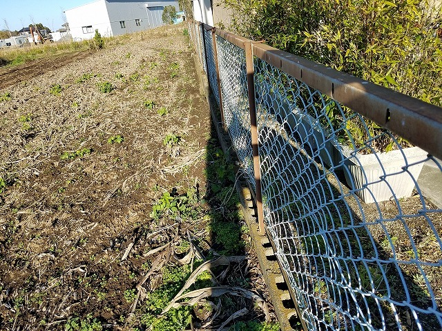 大洗町S様邸｜全面改装で変身を遂げた本格...