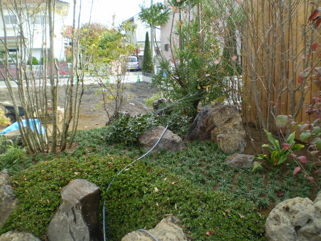 スプリンクラーでの水やり