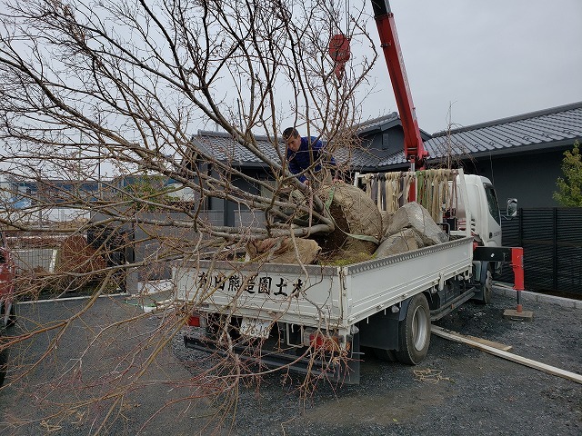 久喜市M様邸｜造園｜外構工事｜和のプライ...