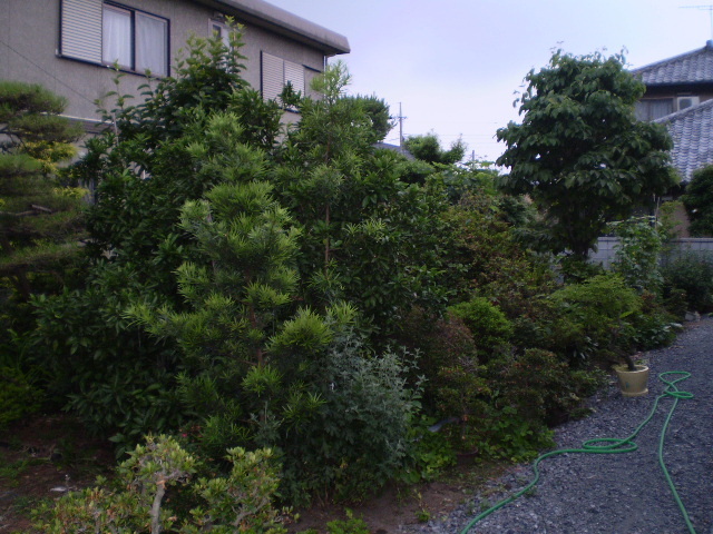 100種もの植木が混在する様子