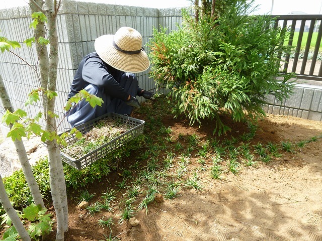 羽生市A様邸｜明治の記憶を継ぎ、新たな時...