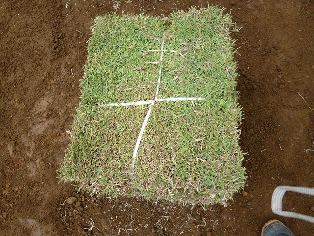 明和町O様邸｜家族と共に育ち、変化する庭...