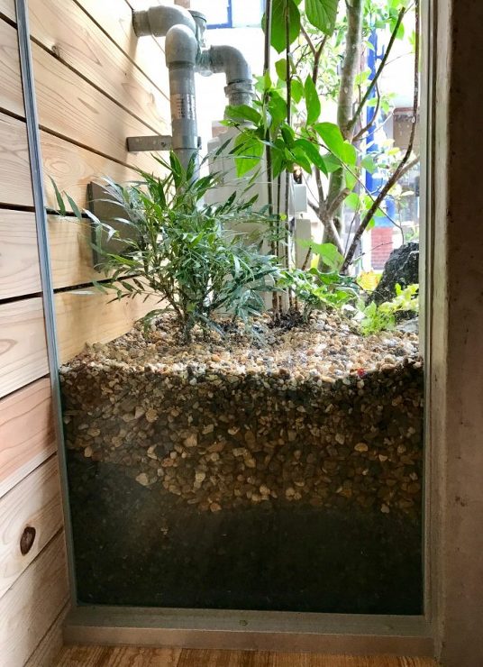 そば切り　岳空｜グリーンプラスガーデン　タマンサリ施工事例