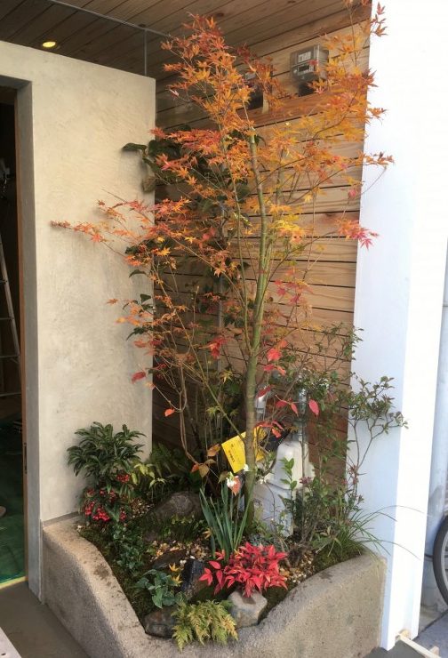 そば切り　岳空｜グリーンプラスガーデン　タマンサリ施工事例