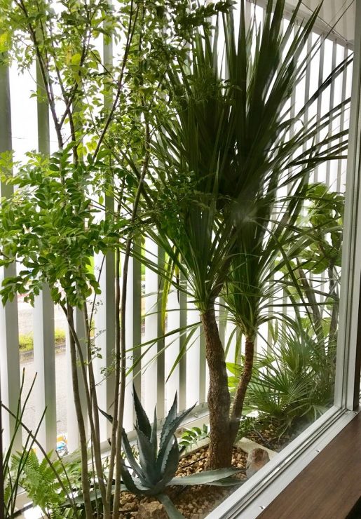 やまだ耳鼻咽喉科｜グリーンプラスガーデン　タマンサリ施工事例