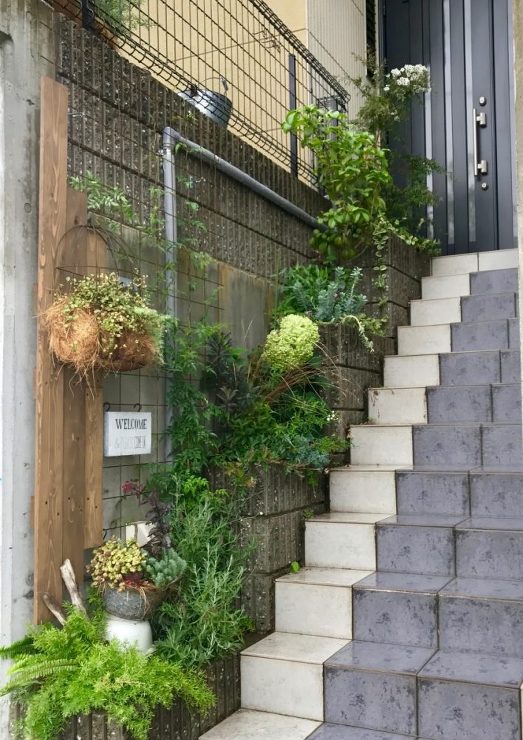 黒谷の庭 | green + garde...