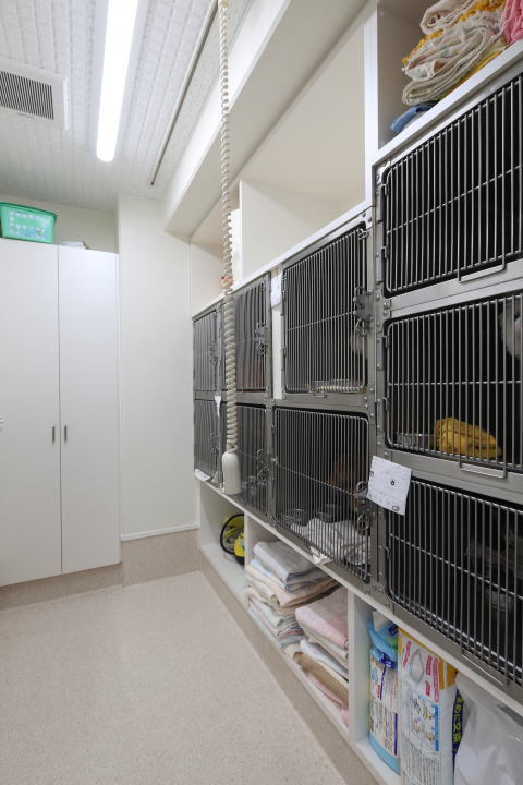 動物病院設計・動物病院新規開業・動物病院...