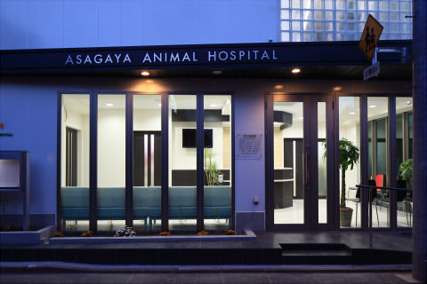 動物病院設計・動物病院新規開業・動物病院...