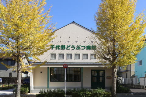 動物病院設計・動物病院新規開業・動物病院...