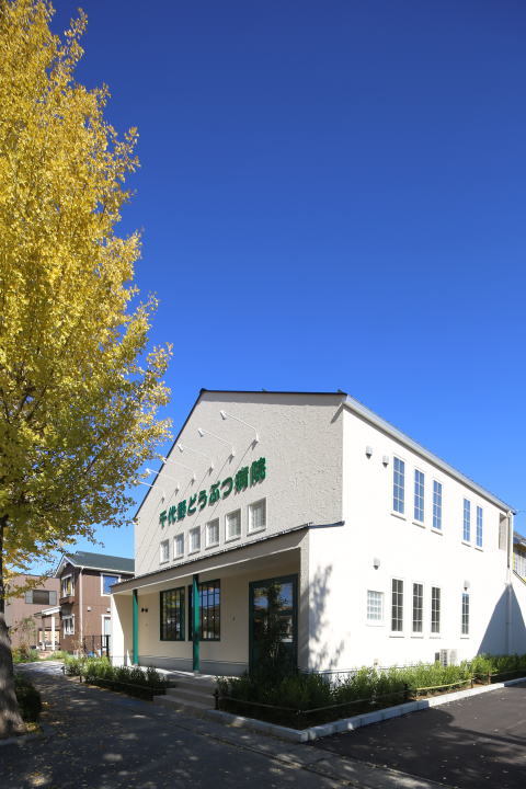 動物病院設計・動物病院新規開業・動物病院...