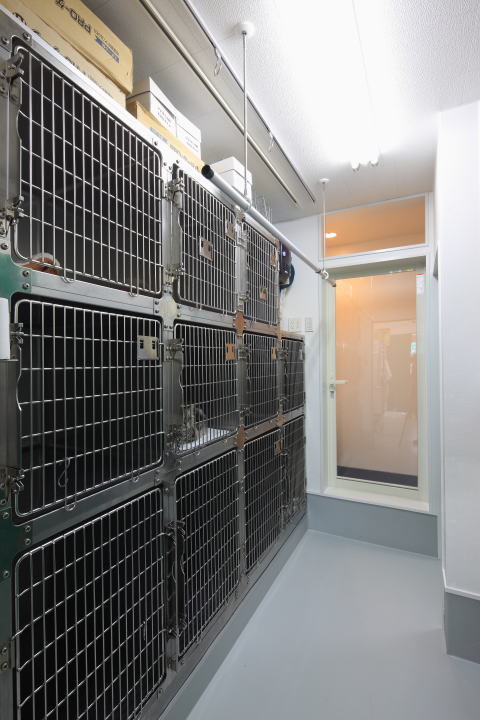 動物病院設計・動物病院新規開業・動物病院...