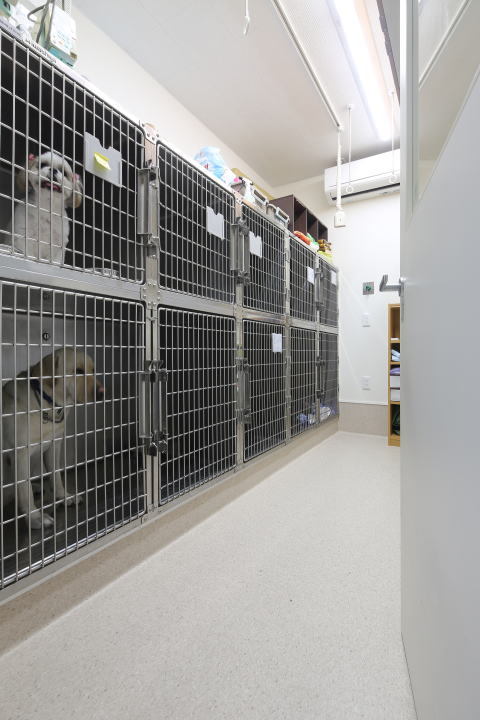 動物病院設計・動物病院新規開業・動物病院...